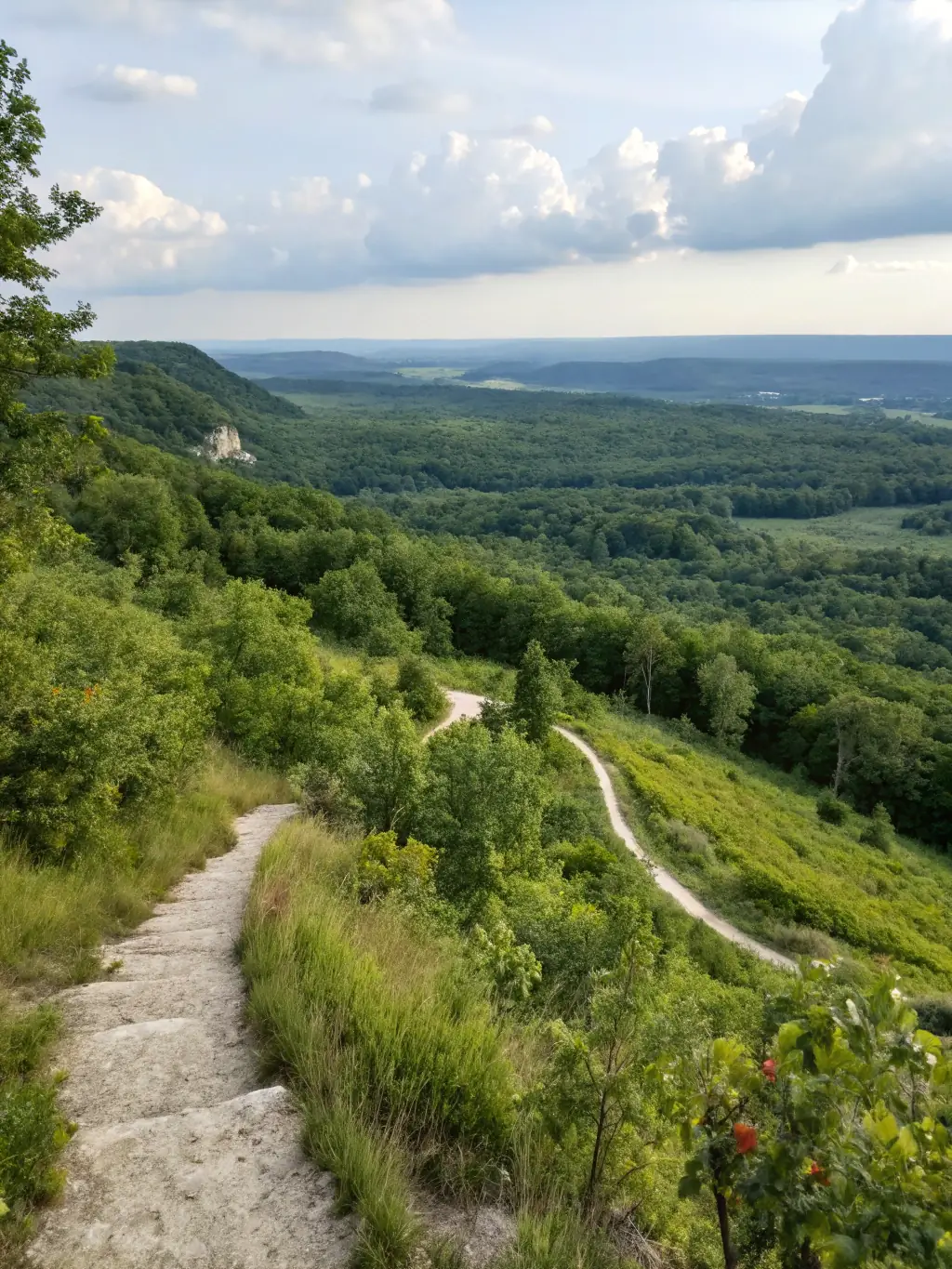 A scenic view of a historical walking trail in Saintonge, marked with informational signs and showcasing the natural beauty of the region.